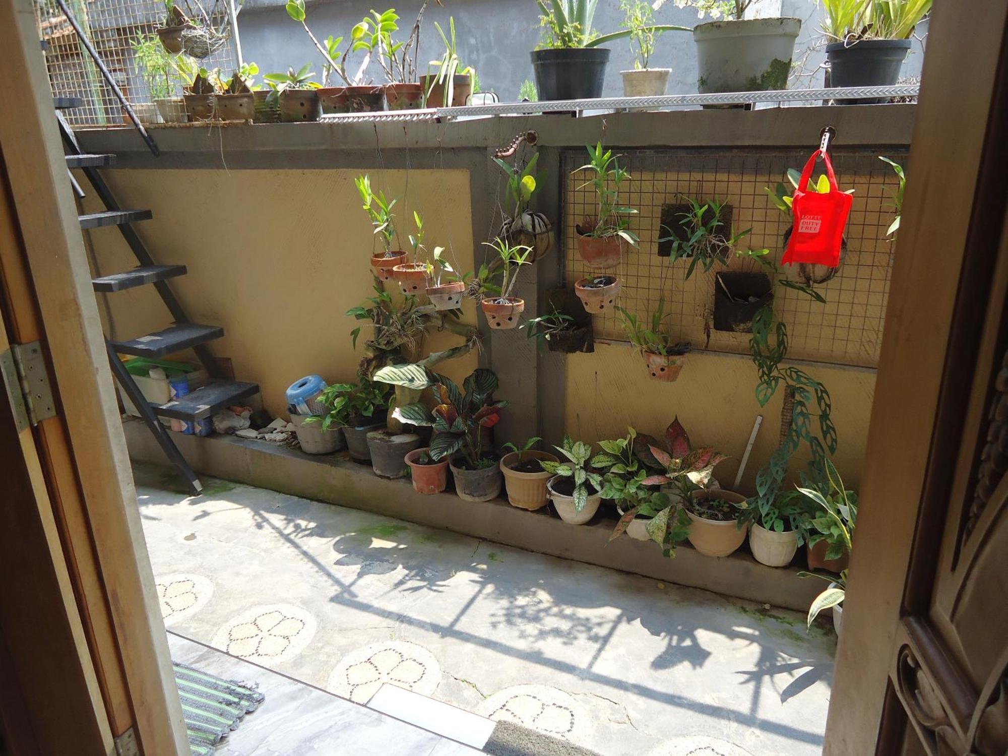 The Reinhold Guesthouse Bali Kerobokan  Ngoại thất bức ảnh